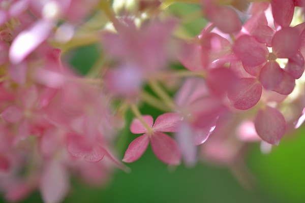 s-DSC_0792.jpg
