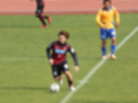 P1130766.jpg