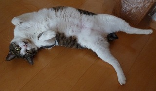 P1070890-ass.jpg