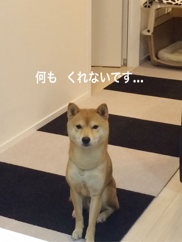 rblog-20161125102023-04.jpg