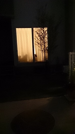 留守番４.jpg