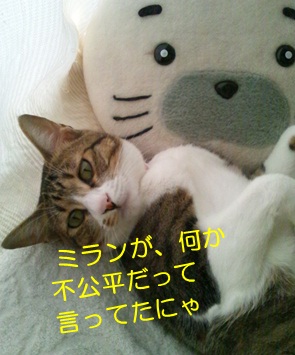 20120831_3.jpg