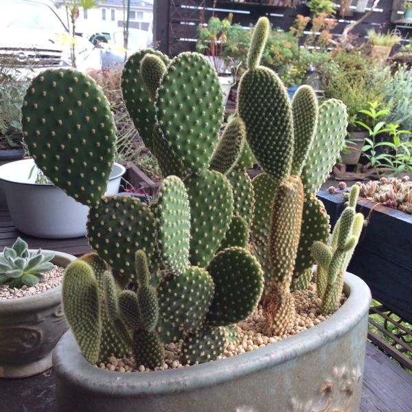 rblog-20140714083008-01.jpg
