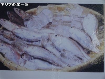 20160513 タオル美術館 佐田岬18