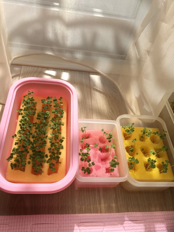 rblog-20151111112705-01.jpg