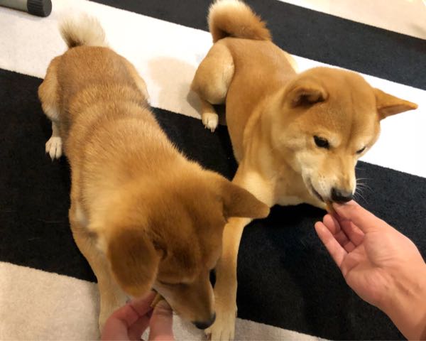rblog-20180119062553-07.jpg
