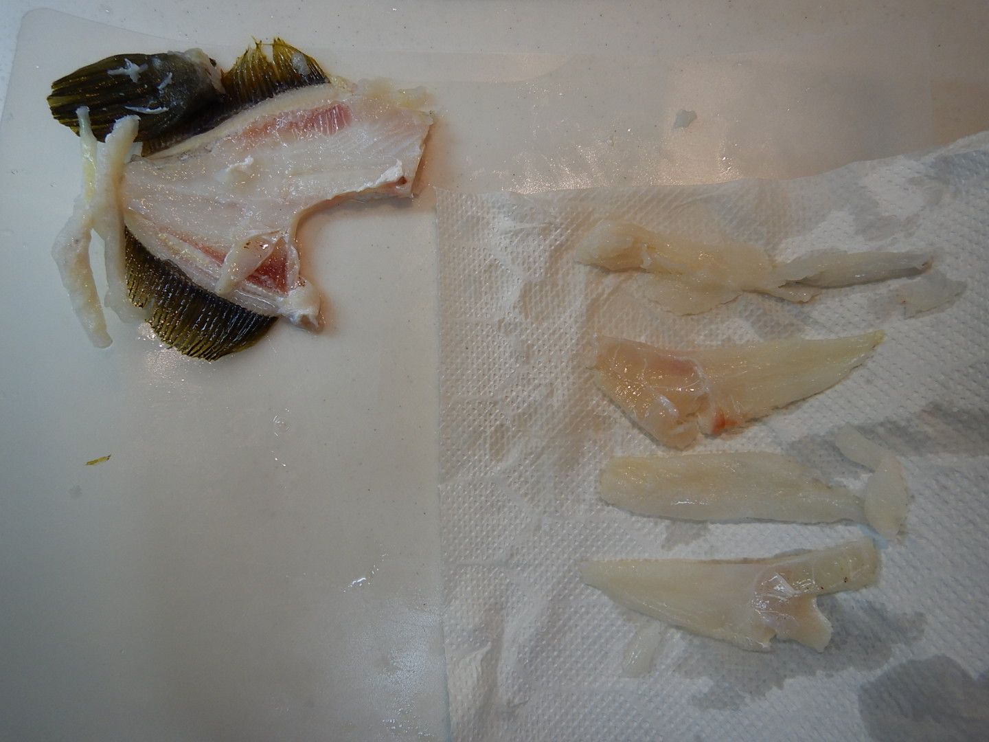 午後から江ノ島でちょい釣り カワハギ27cmが釣れて嬉しかった Gato Negro 安心してください 毛玉 吐いてますよ 楽天ブログ