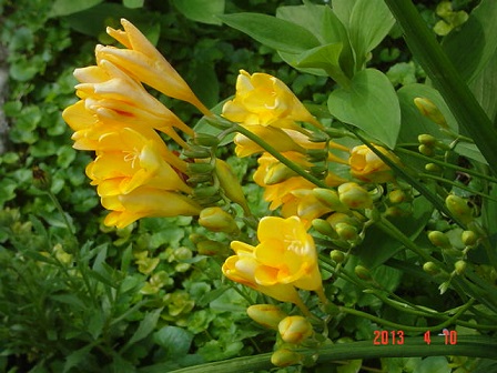 DSC01022.JPG