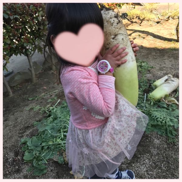 rblog-20180311185831-05.jpg