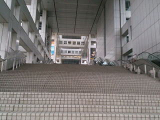 シュタインズ・ゲート