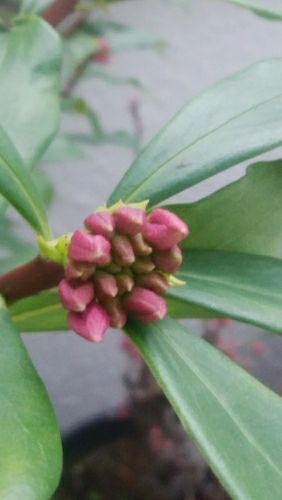 rblog-20180118043103-02.jpg