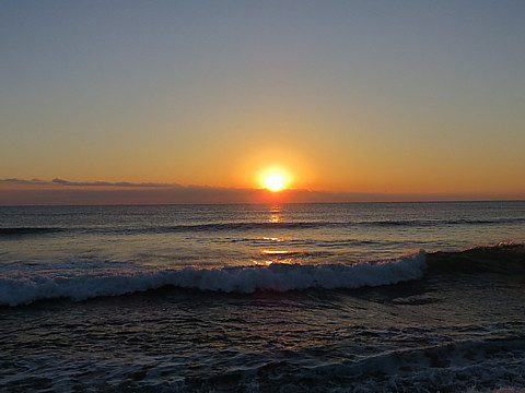 IMG_0871.jpg