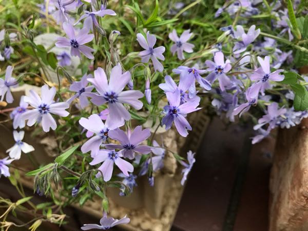 rblog-20190419193912-00.jpg