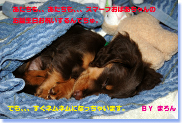 050408b.jpg