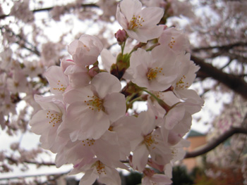 130402-2.jpg