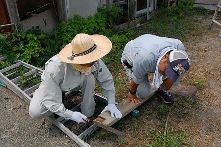 s-DSC_0575.jpg