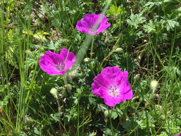 rblog-20180505160632-08.jpg