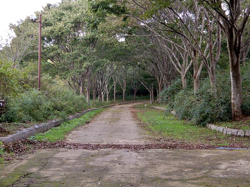 外周路4