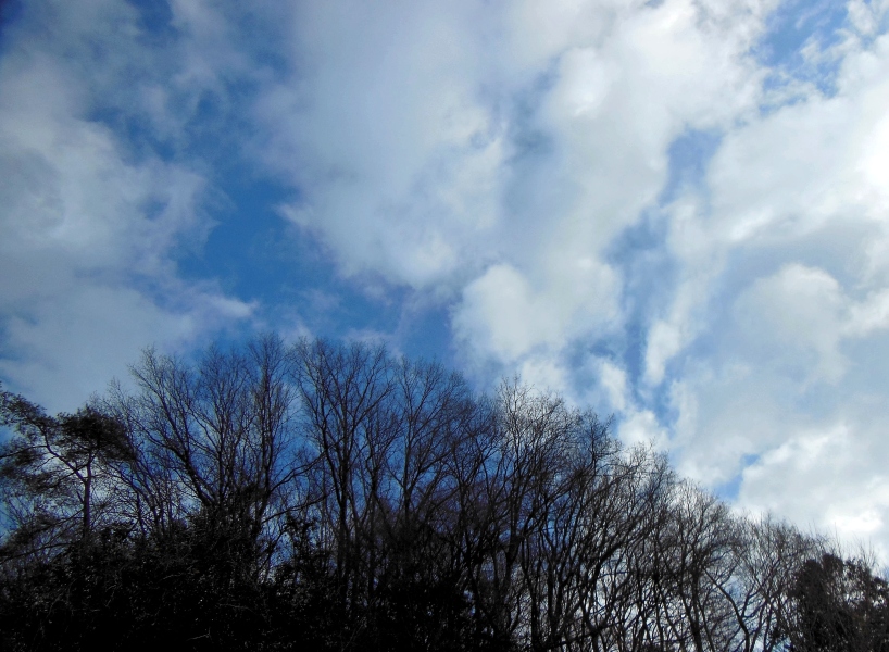 空2.JPG