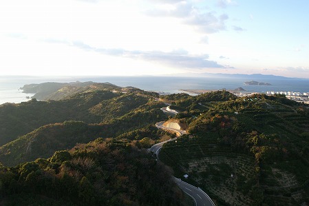 有田みかん海道2.jpg