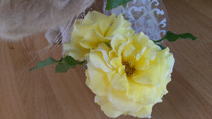 rblog-20130604123938-03.png