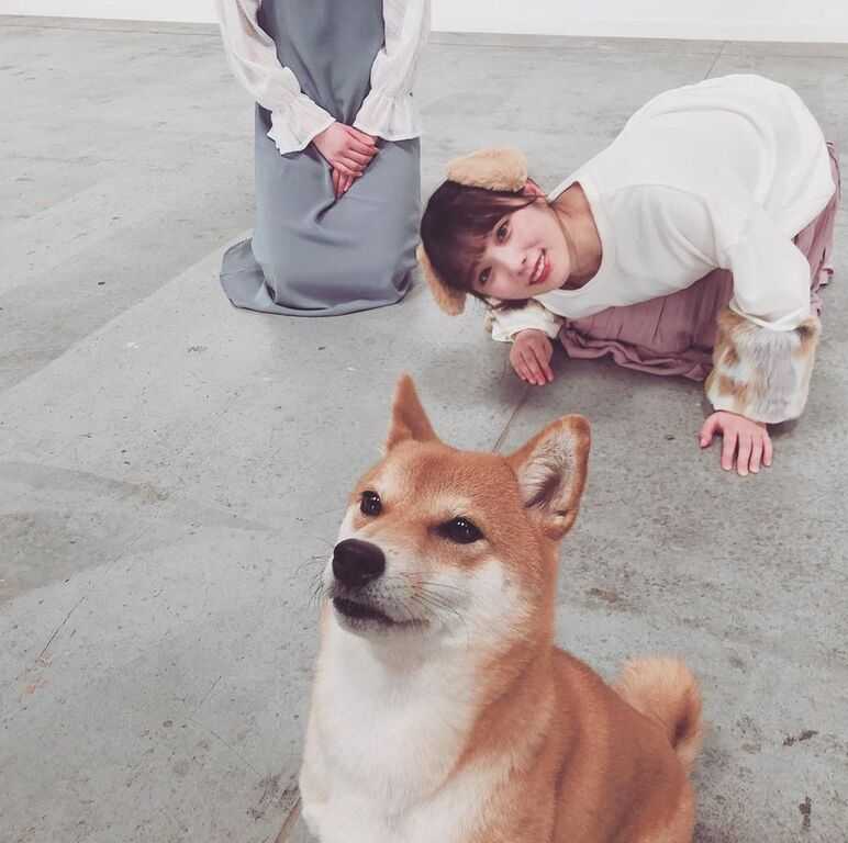 ☆乃木坂46♪与田佑希、キュートな”犬耳”SHOTにファン悶絶