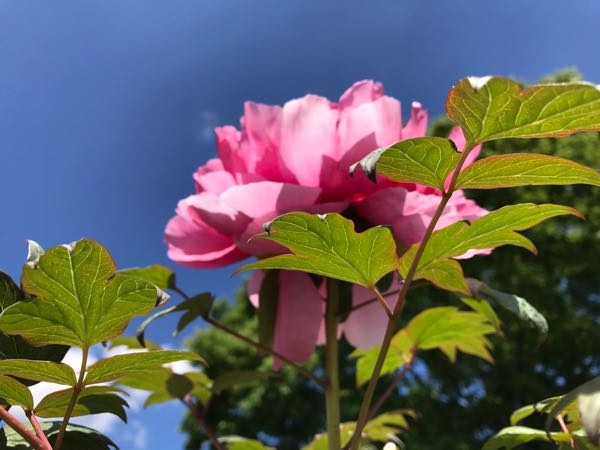 rblog-20170517160914-02.jpg