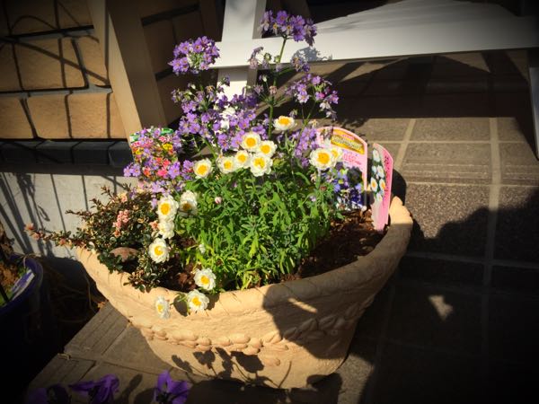 rblog-20160225161857-04.jpg