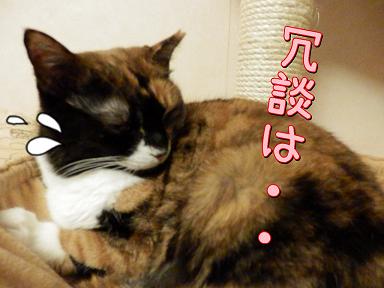 冗談.JPG