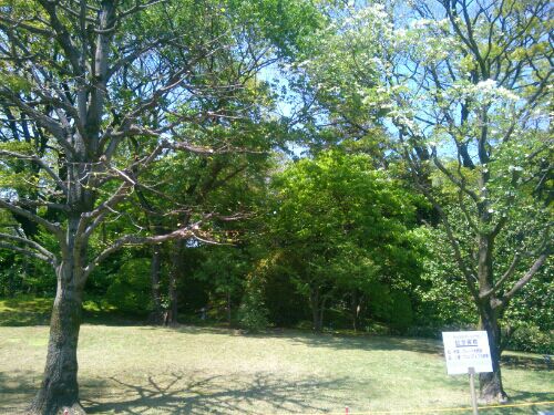 rblog-20160421010201-05.jpg