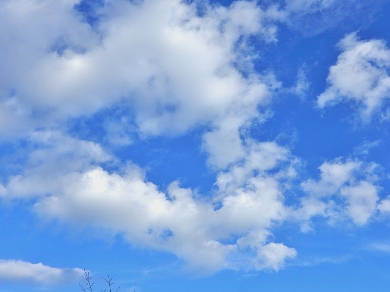 空4