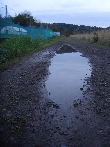 たくさん雨降った.jpg