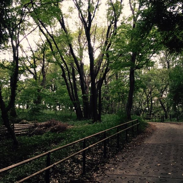 rblog-20161005082034-02.jpg