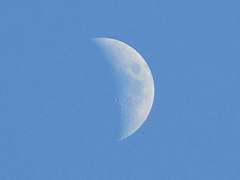 conv0538.JPG