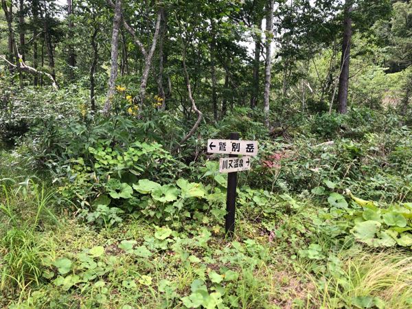 rblog-20180903102953-02.jpg