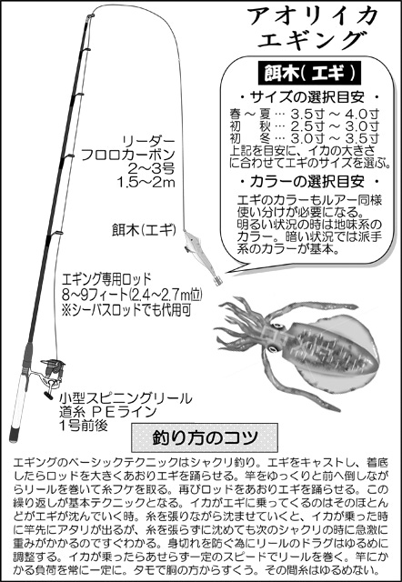 エギング基本セット01モノクロ.jpg