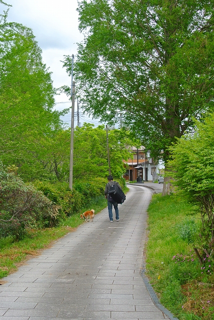 330.jpg