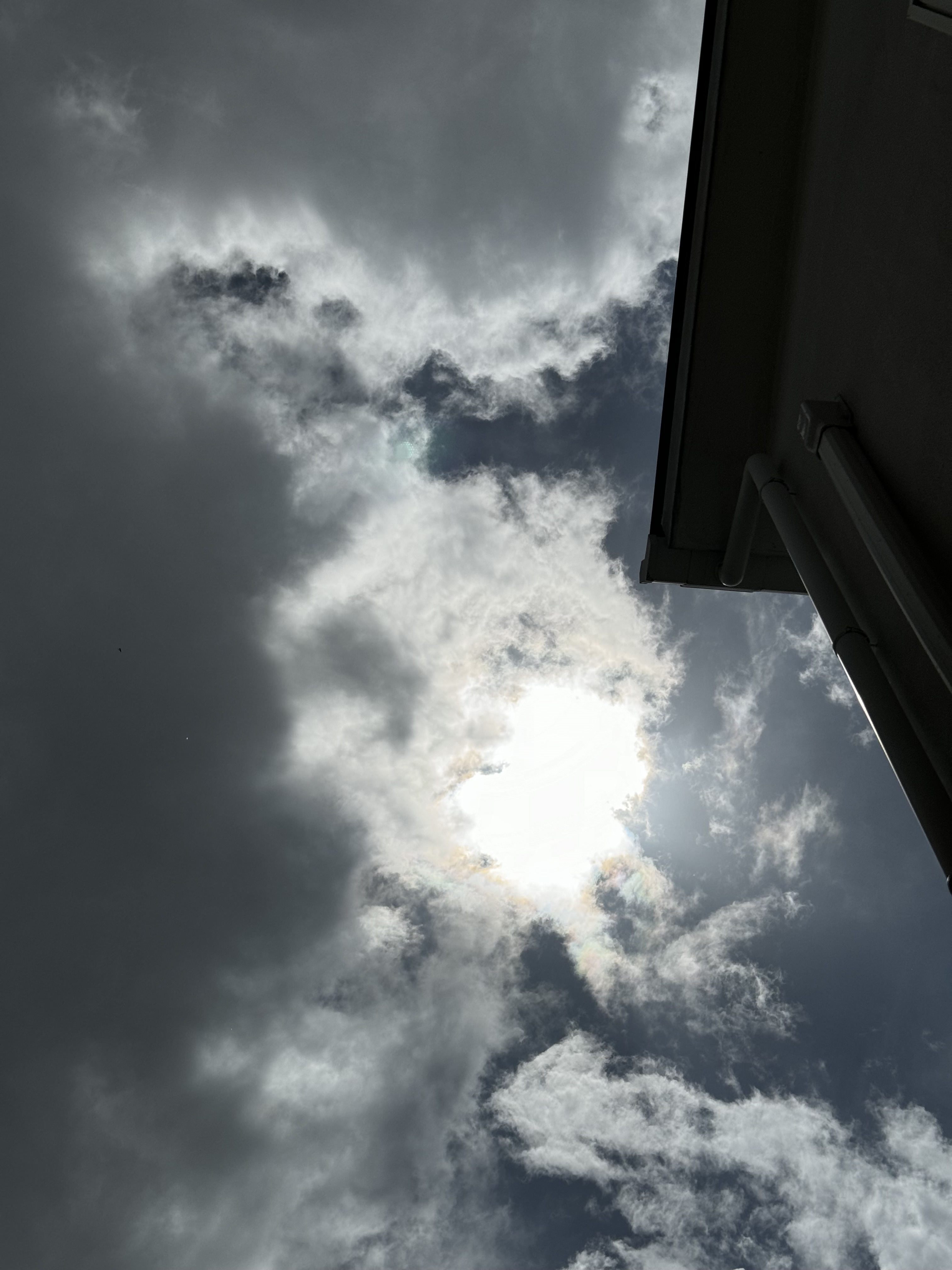 のろのろ台風！ | ますます元気に！ - 楽天ブログ