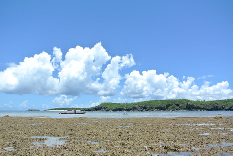 DSC_0981.JPG