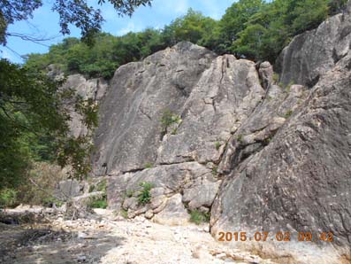 1 DSCN1648 蓬莱 (2).JPG
