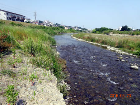 河口.jpg