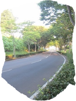 道２.jpg