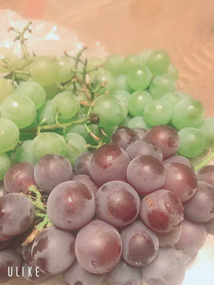 興味あることブログ