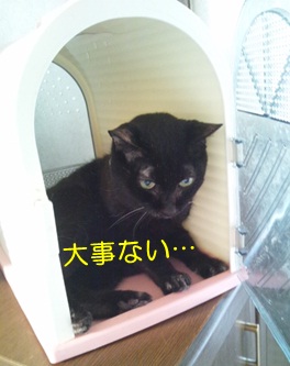 20120811_5.jpg