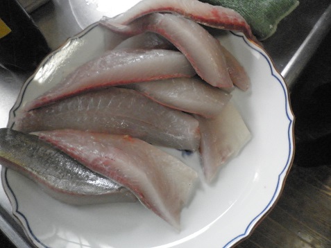 カンパチ柵