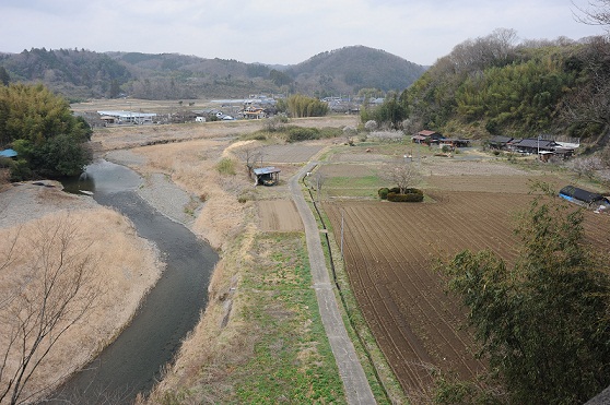 2013.3.18 032.JPG