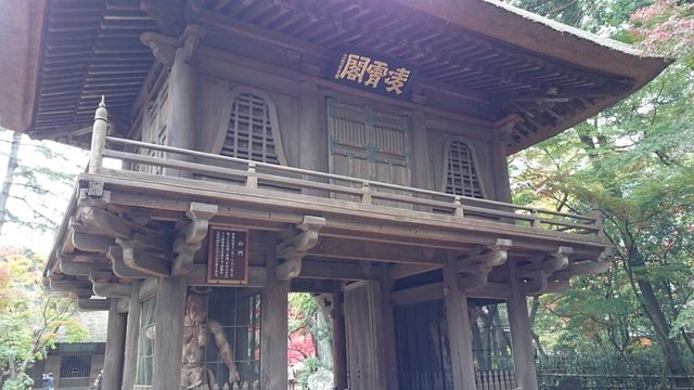 2015-11-22 09.10.58.jpg