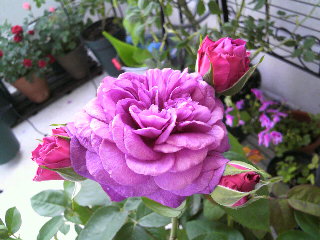 2012-04-20 15:31:09
