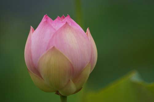 20140616_07-2.jpg
