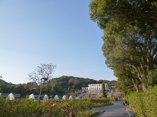 P1140128(1).JPG